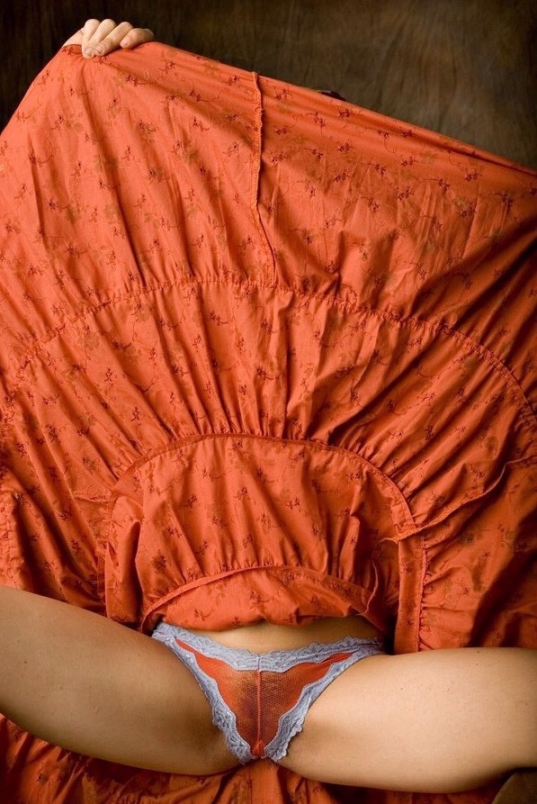 597x893, 216 Kb / красная, юбка, трусы, кружевные, небритая