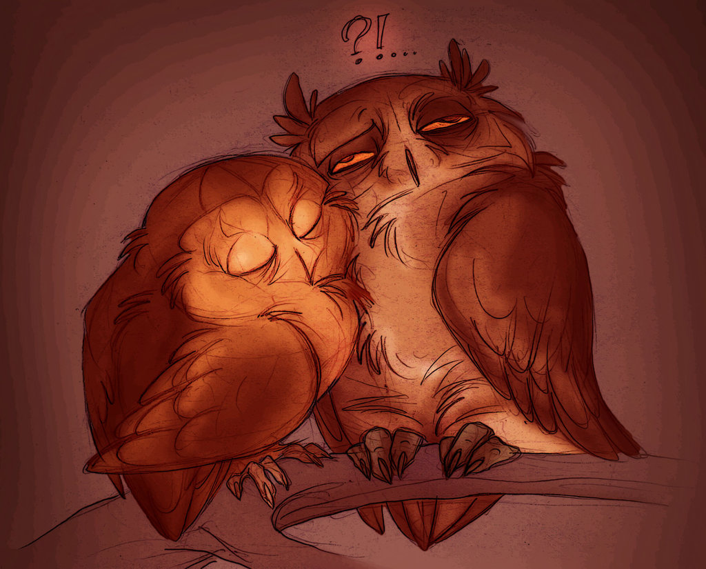 1024x825, 180 Kb / совы, нежность, fortunatafox