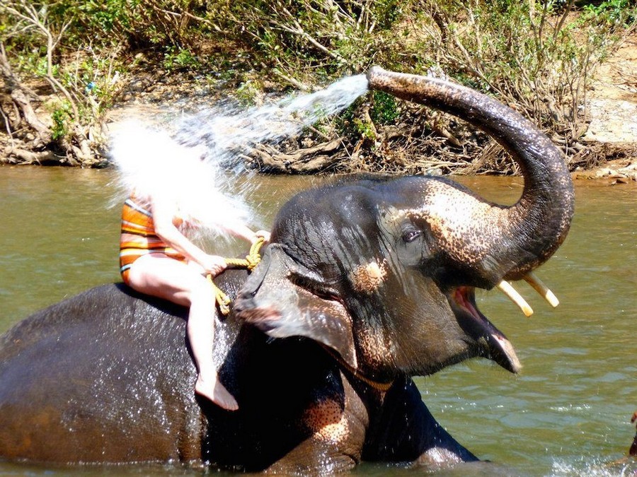 900x675, 253 Kb / слон, брызги, девушка