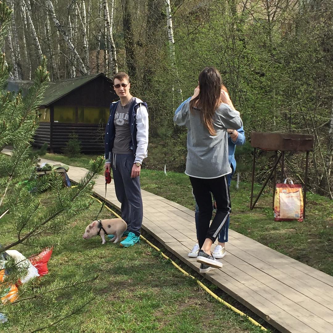 1080x1080, 254 Kb / лес, мангал, поросёнок