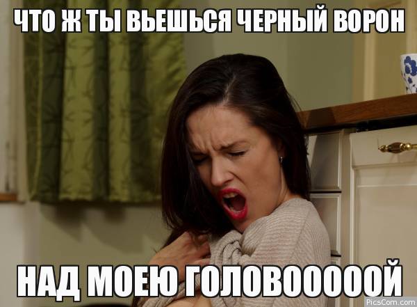 600x441, 34 Kb / песня, ворон, кухня