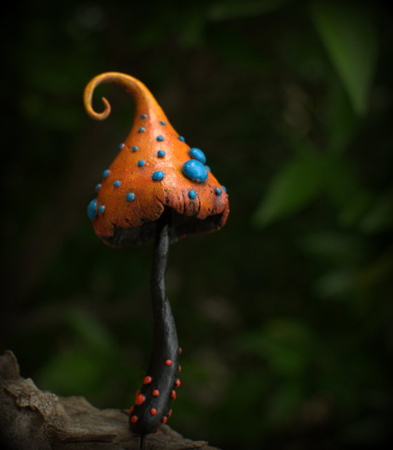 570x652, 37 Kb / гриб, цветной