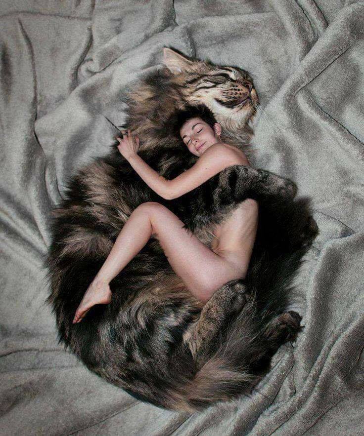 736x883, 115 Kb / кошка, девушка, обнимашки