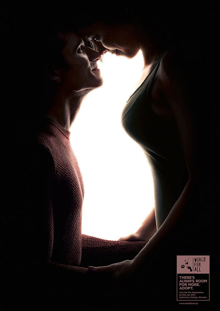 700x990, 53 Kb / реклама, приют, домашний, питомец, кошка