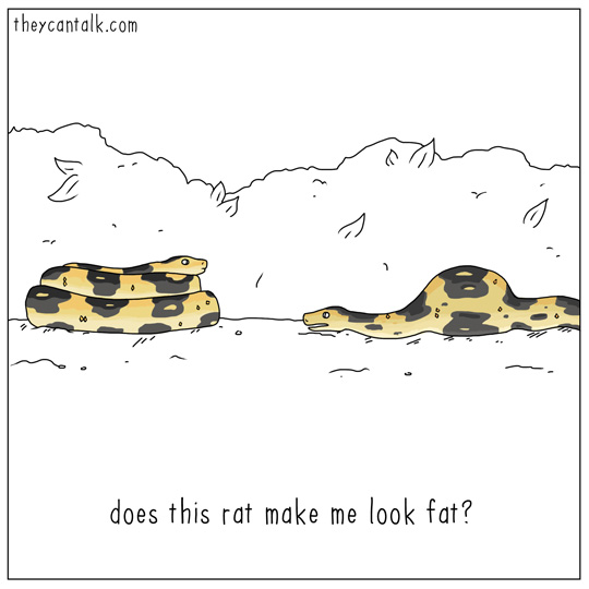 540x540, 46 Kb / крыса, змея