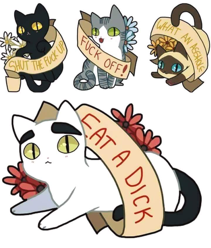 720x849, 51 Kb / котики