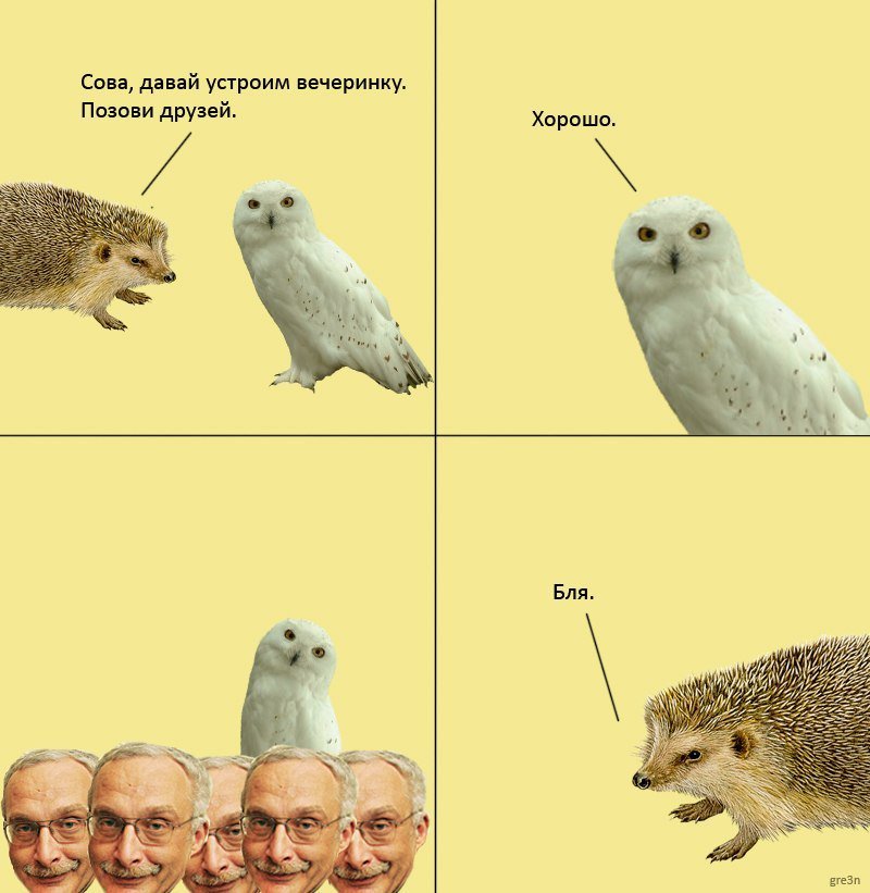 800x821, 74 Kb / сова, еж, друзь, друзья, вечеринка