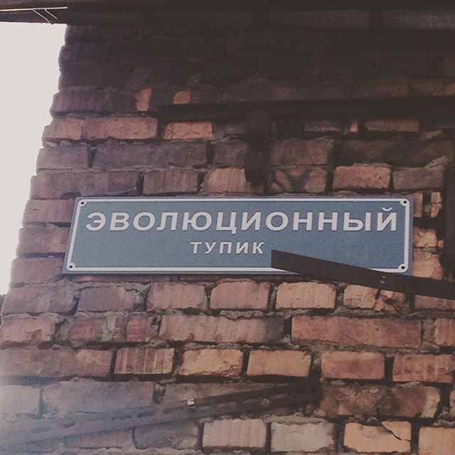 640x640, 60 Kb / тупик, эволюция