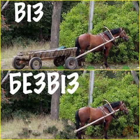 480x480, 49 Kb / воз, лошадь, безвиз, игра слов