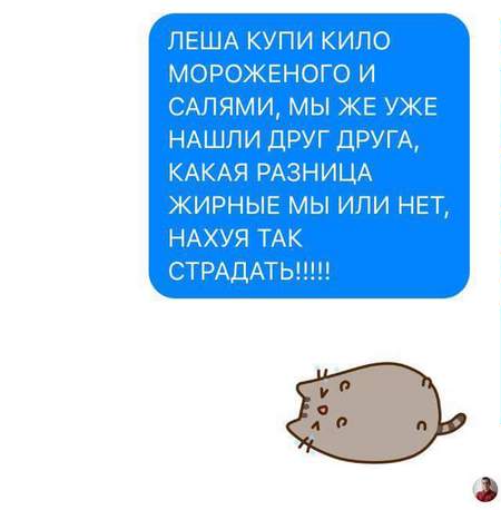 450x458, 20 Kb / мороженое, салями, жирные