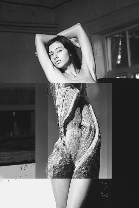 467x700, 46 Kb / бревно, пупок, ч/б