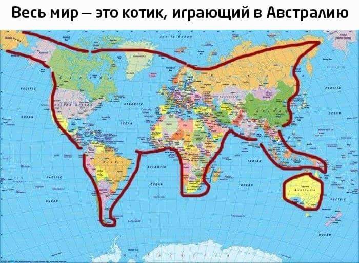 700x512, 118 Kb / Карта, кот, мир