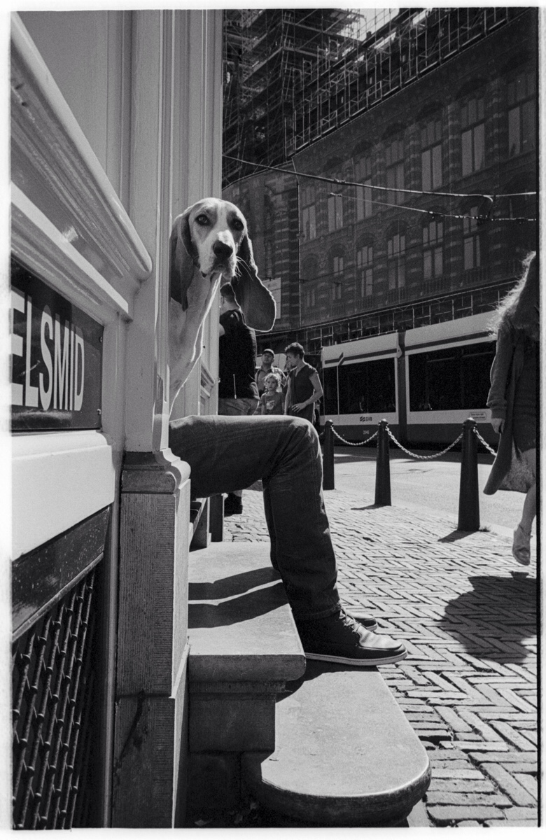 780x1200, 367 Kb / собака, ноги, улица, ч/б