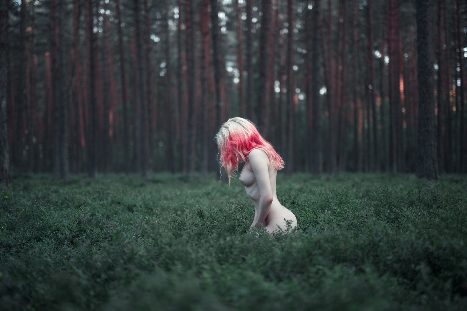1600x1066, 319 Kb / лес, голая, блондинка, розовые, сосны