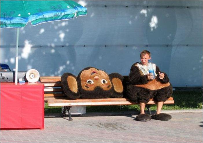 702x495, 53 Kb / чебурашка, вода, кукла, ростовая