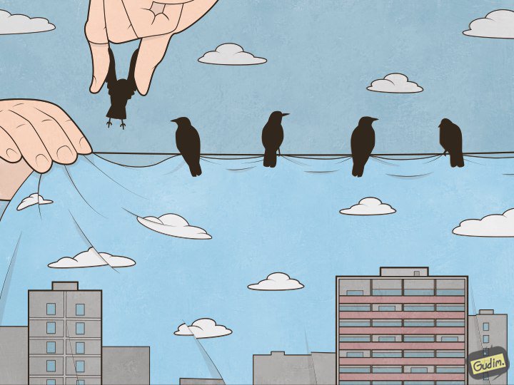 720x540, 65 Kb / прищепки, вороны