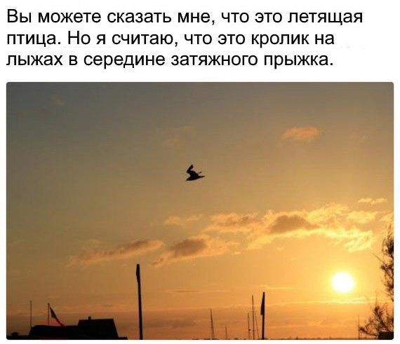 570x491, 59 Kb / птица, кролик, прыжок