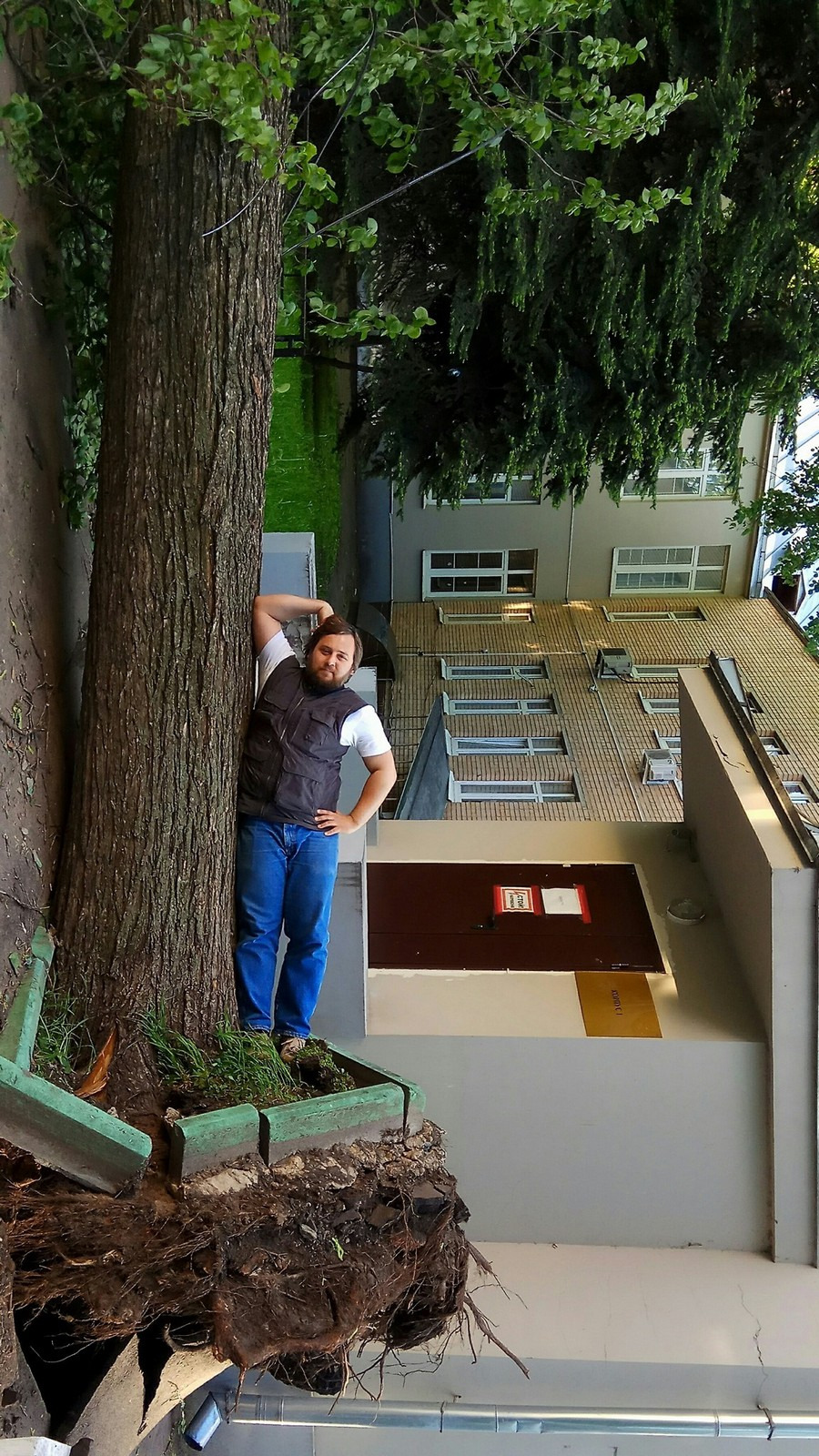 900x1600, 592 Kb / москва, дерево, ураган, мужик