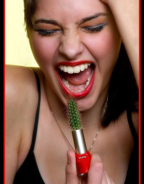 470x602, 43 Kb / помада, кактус