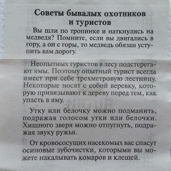 600x600, 96 Kb / советы, охотники, туристы, утка, белочка, медведь