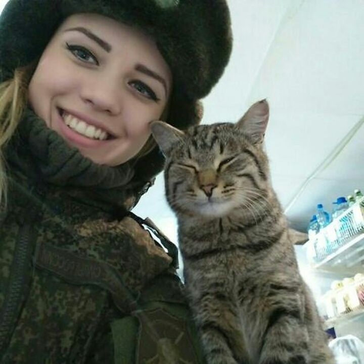 720x720, 57 Kb / военная, улыбка, кошка, полка