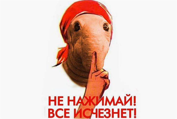 720x487, 39 Kb / ждун, плакат, тссс!