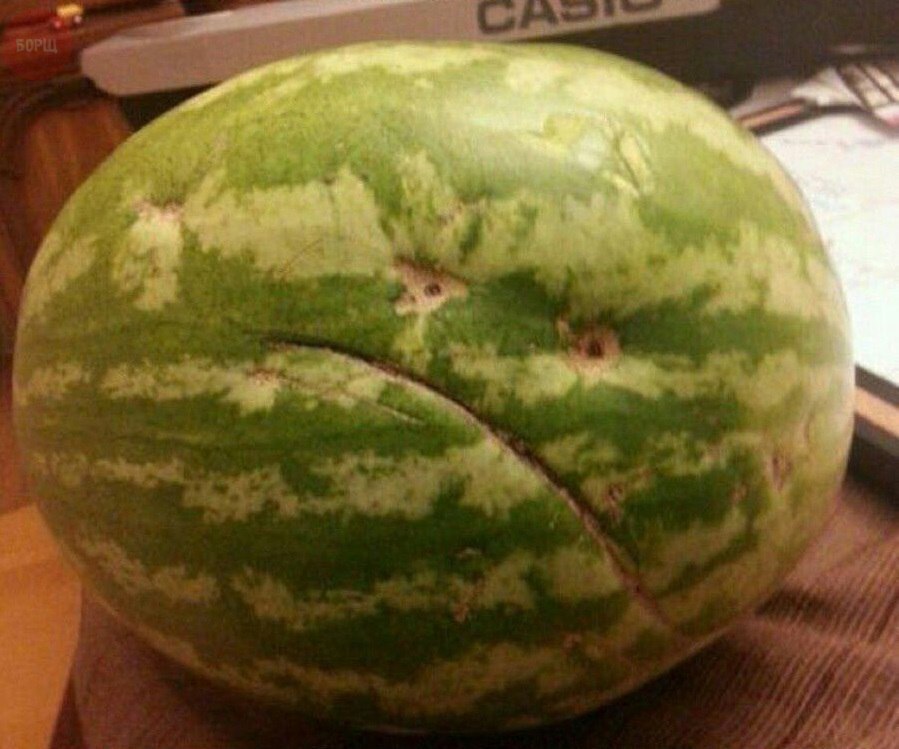 899x749, 103 Kb / арбуз, рожа