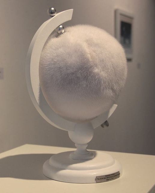 516x640, 32 Kb / глобус, шерсть