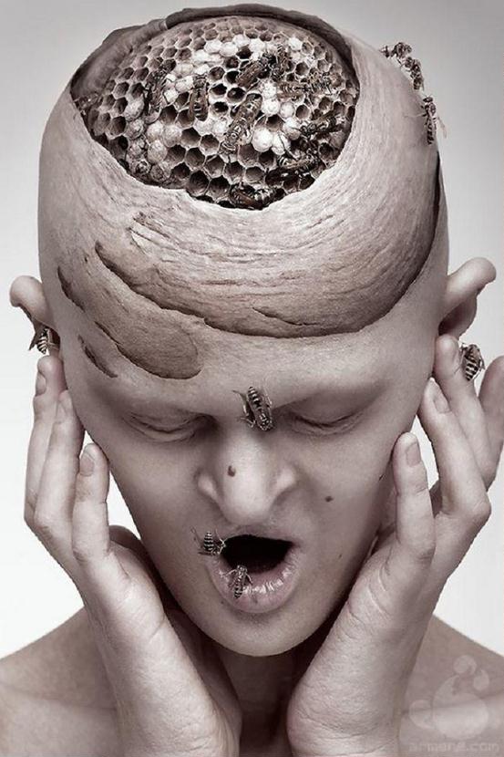 553x830, 72 Kb / голова, соты, осы, гнездо