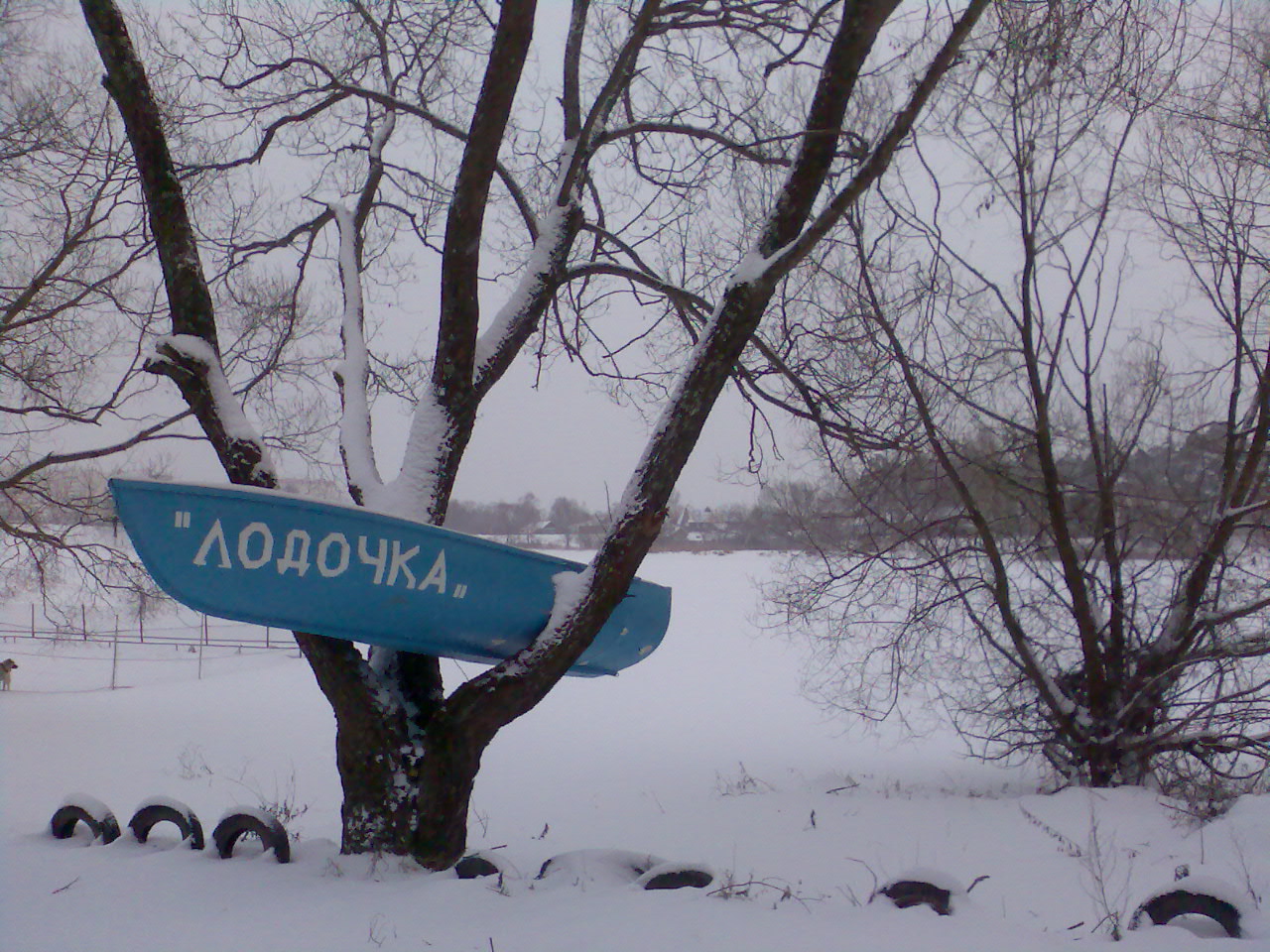 1280x960, 368 Kb / лодка, деревья