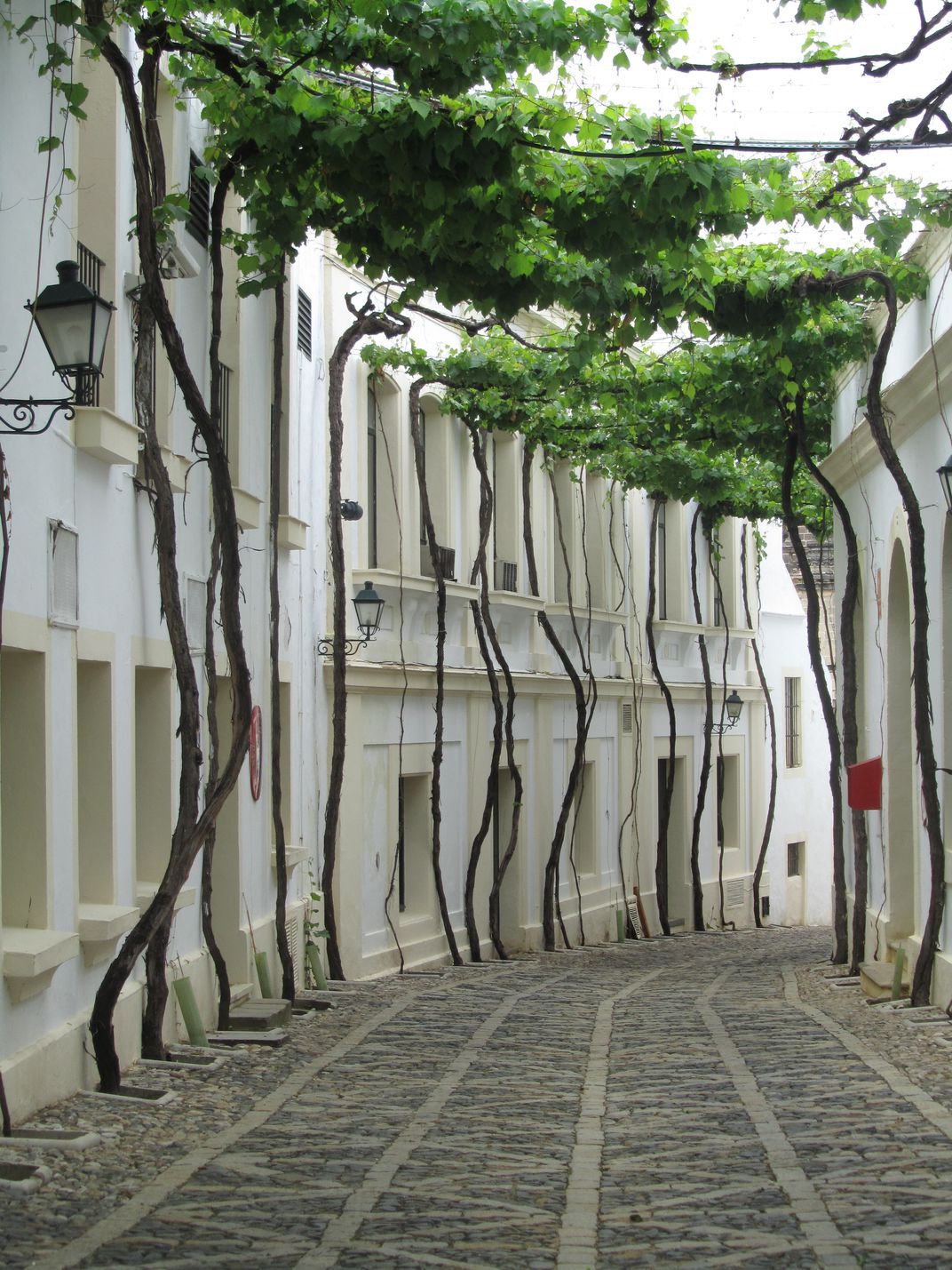 1072x1429, 294 Kb / улица, деревья, окна, белое, фонарь, испания