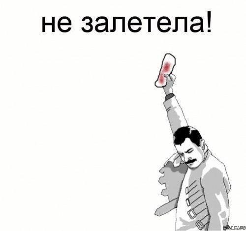 500x470, 15 Kb / фредди, меркьюри, не залетела, прокладка