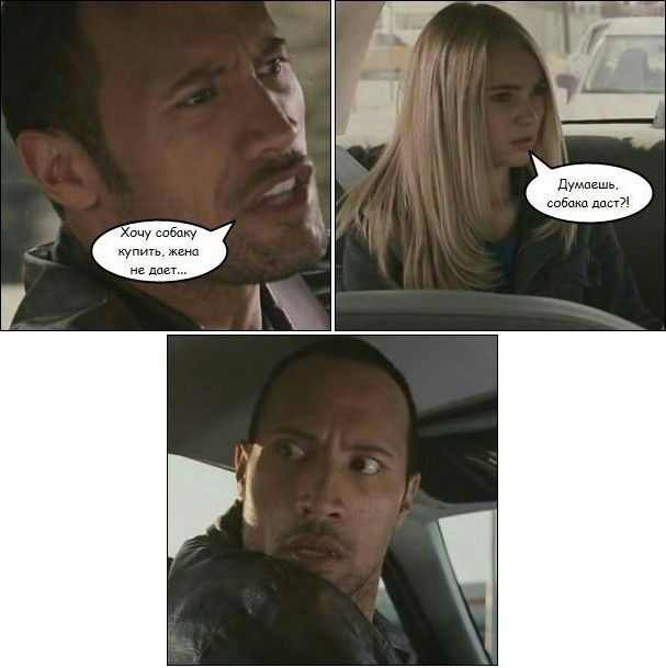 607x609, 58 Kb / жена, собака