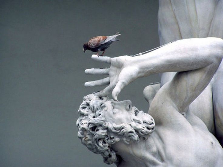 736x552, 39 Kb / скульптура, голубь