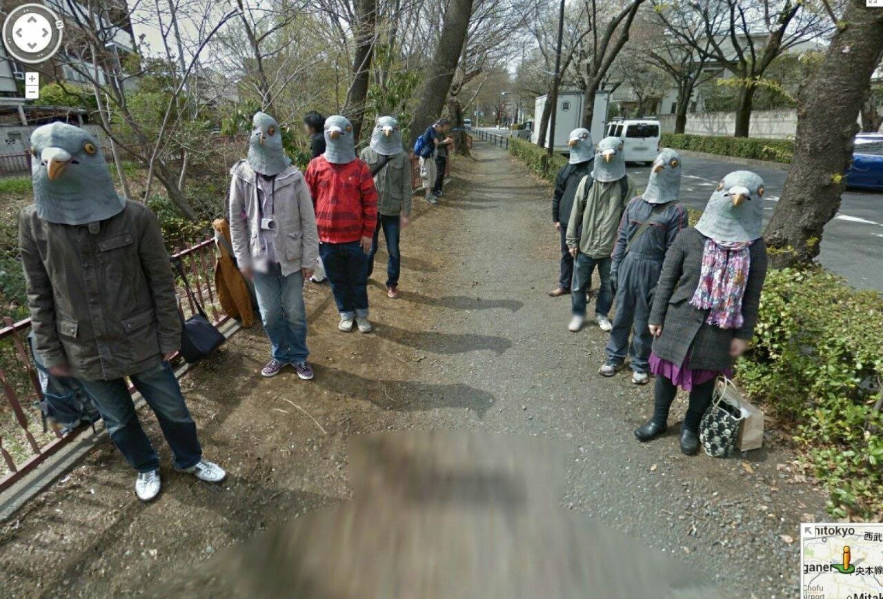 1280x869, 305 Kb / голуби, гугл стрит, маска