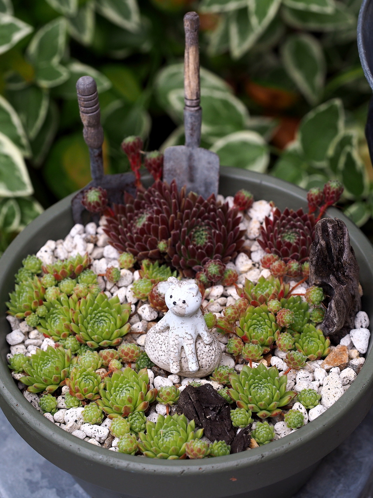 1280x1707, 617 Kb / горшок, кот, лопата, миниатюра