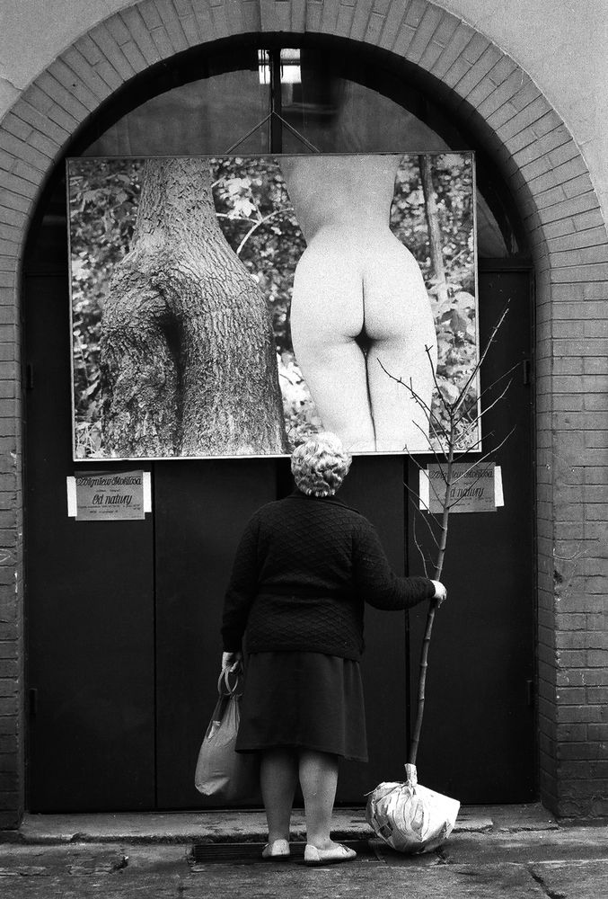 677x1000, 130 Kb / дерево, попости, женщина, арка, ч/б