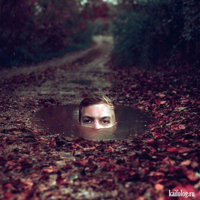 640x640, 94 Kb / дорога, листва, деревья, лужа, голова