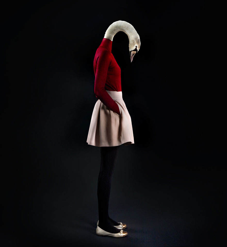 880x960, 35 Kb / белая, юбка, красная, кофта, лебединая, голова