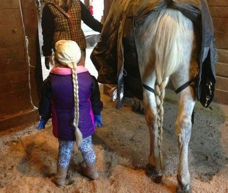 900x760, 165 Kb / косичка, девочка, хвост, лошадь