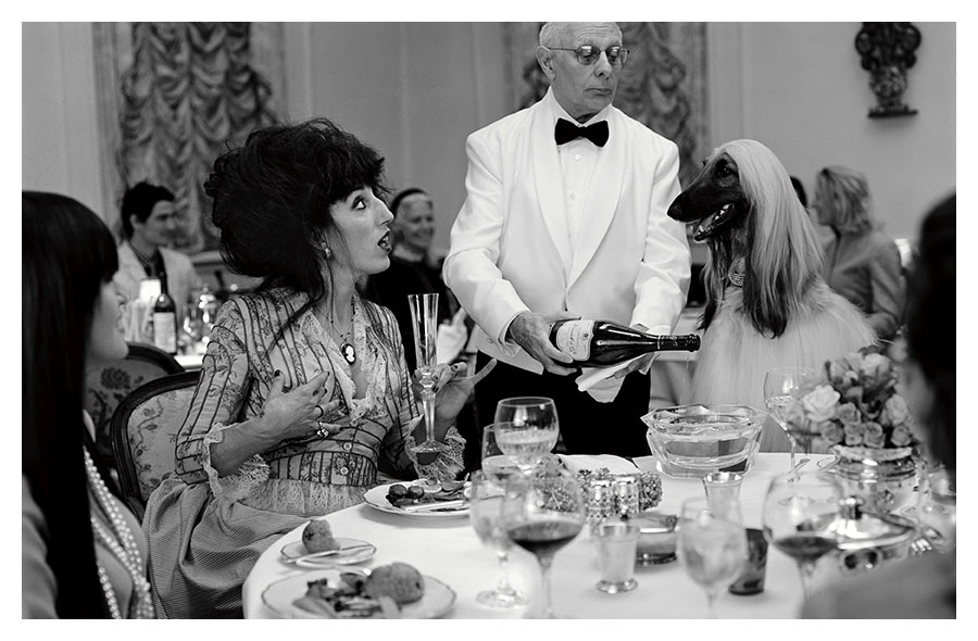 900x590, 96 Kb / ресторан, собака