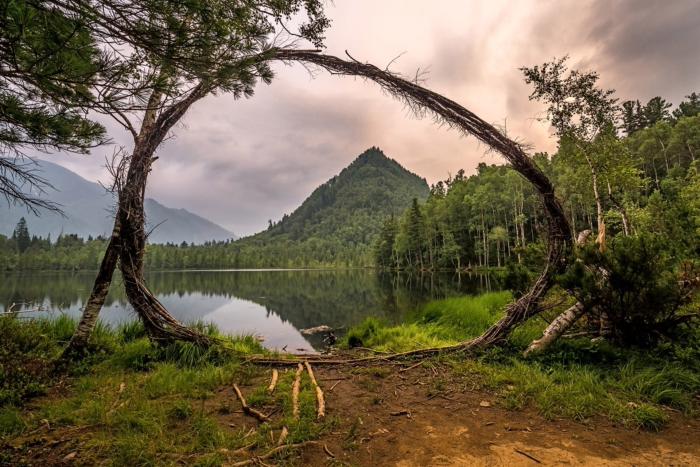 700x467, 75 Kb / Лес, озеро, сопка