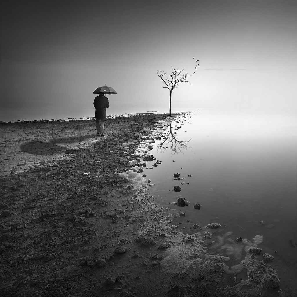 1024x1024, 369 Kb / ч/б, зонт, дерево, птицы, Pedro Diaz Molins