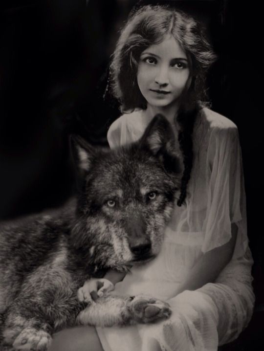 540x718, 37 Kb / девушка, белое, платье, волк, ч/б