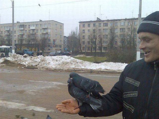 640x480, 52 Kb / голубь, секс, парень, рука, город, дома, улица, транспорт, сугроб