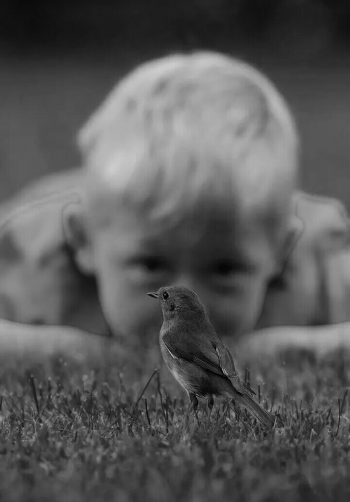 720x1034, 80 Kb / ч/б, птица, мальчик