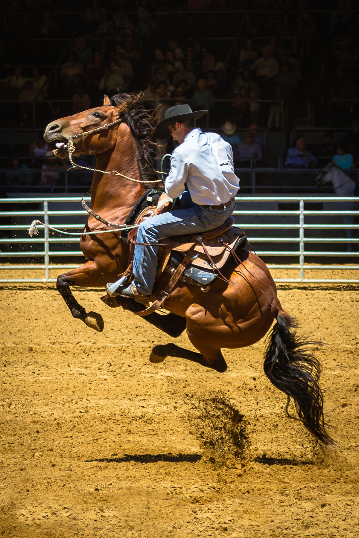 1200x1799, 613 Kb / конь, жокей, наездник