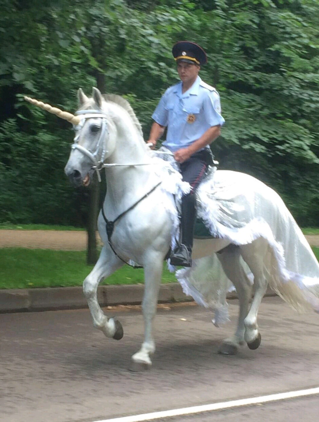 1058x1399, 318 Kb / единорог, лошадь, милиционер