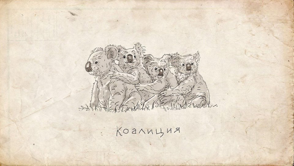960x543, 131 Kb / коалиция, коалы