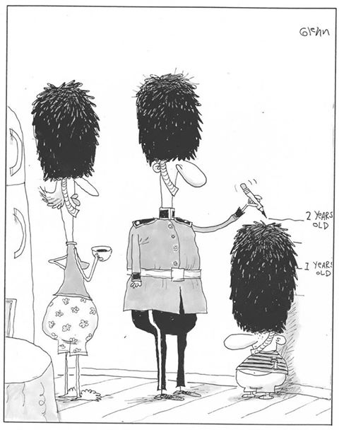 480x608, 44 Kb / шапка, рост, гвардейцы